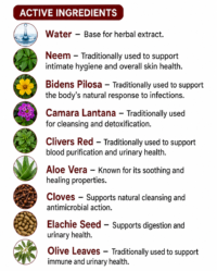 Imvelo STI and Bladder Herbal Tonic 1 litre